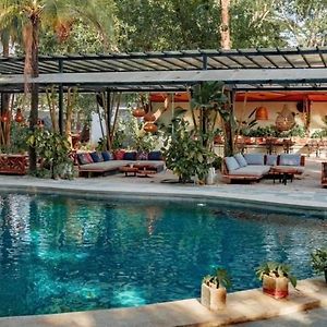 Curiol Boutique Hotel & Lounge